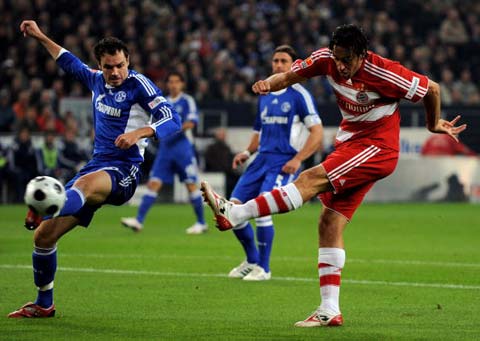 态上收获了 态上收获了